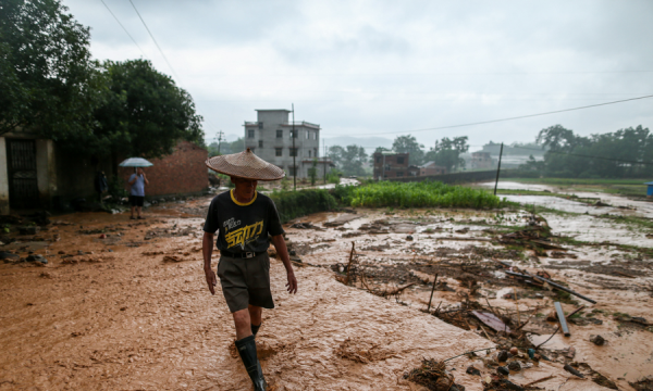 洪水抱树女孩成警察,图2