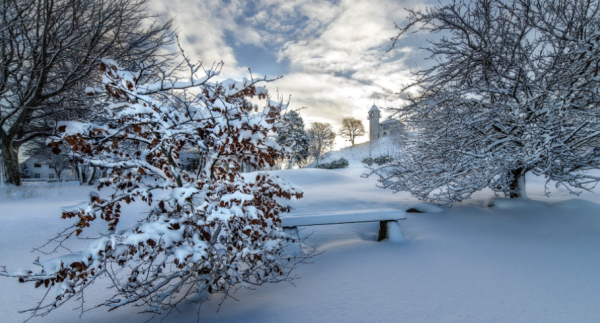 冬天蛇会出来,蛇为什么冬天不出来图6