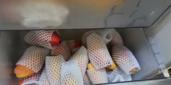 新鲜芒果可以放冰箱,芒果可以放冰箱可以保存多久呢图2