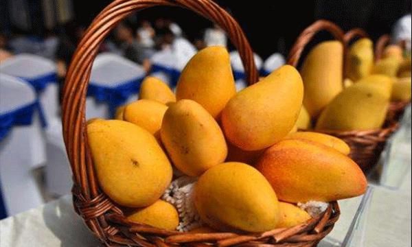 芒果放冰箱好还是常温保存好