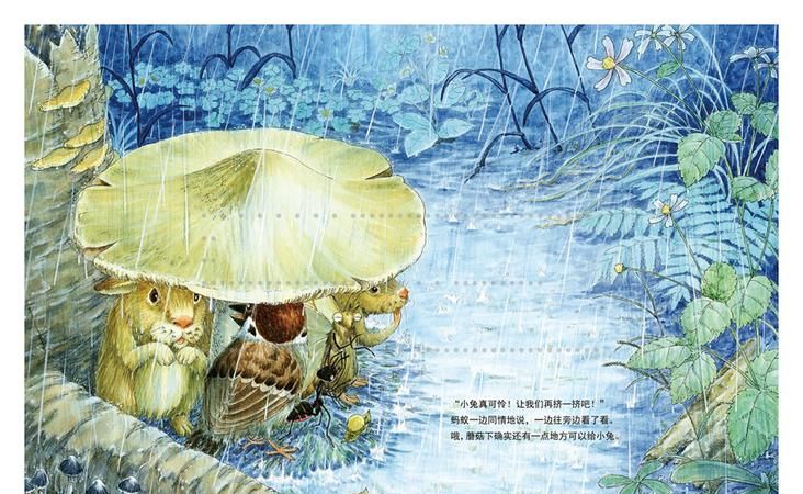 下雨前小动物们都有哪些表现呢 ,下雨之前小动物会有哪些预兆