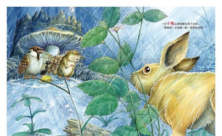 快下雨的时候动物们的表现有哪几种看图写话