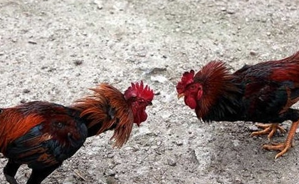 1623134504168647.png image.png