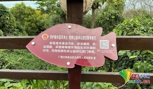 海洋生物多样性的重要意义(海洋生物多样性与进化研究所)-第1张图片-