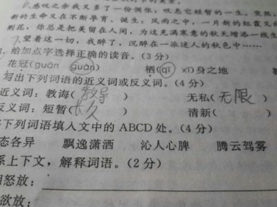 ​清爽的反义词是什么词(清爽的反义词是什么 标准答案)