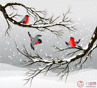 ​五月下雪天发朋友圈的精美句子(下雪天发朋友圈的精美句子伤感)