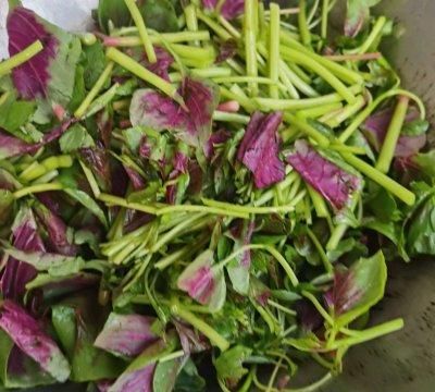 苋菜怎么洗最干净图解