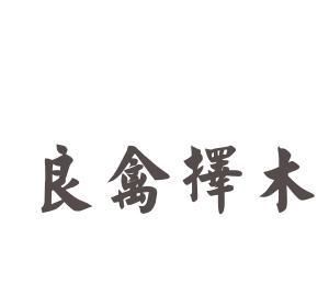 择木而栖，与择木而栖相匹配的网名？图4