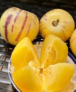 ​人参果怎么吃，绿人参果怎么吃法？