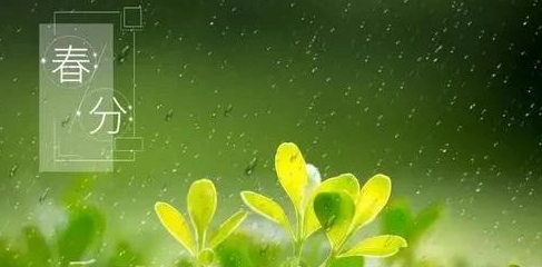 春分的相关风俗,春分有什么风俗图2