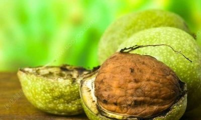 ​核桃绿皮染手怎样洗掉,核桃皮染到手上怎么洗掉小妙招