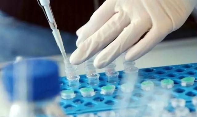 t1,在化学中表示什么