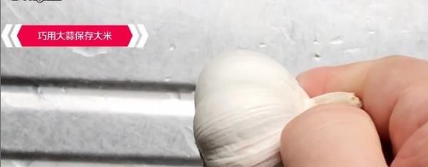 米里有黑虫子怎么处理,米里长了很多小黑虫怎么办还能吃吗图2