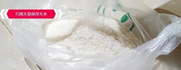 米里有黑虫子怎么处理,米里长了很多小黑虫怎么办还能吃吗图4