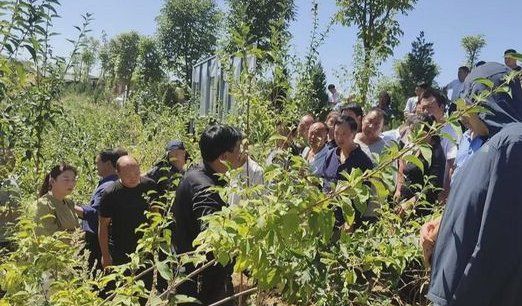 农业局是什么单位,农业局是事业单位还是行政单位图1