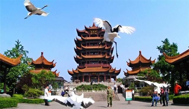 黄鹤楼位于,江南三大名楼之一的黄鹤楼位于哪?图3