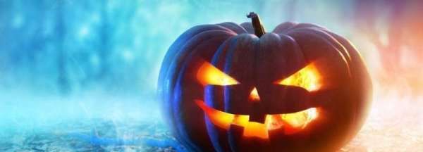 南瓜头的功效和作用是什么,南瓜头吃了有啥好处和坏处图4