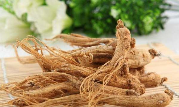 同百参是不是人参,同百参是什么参?图2