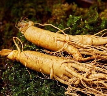 同百参是什么参?