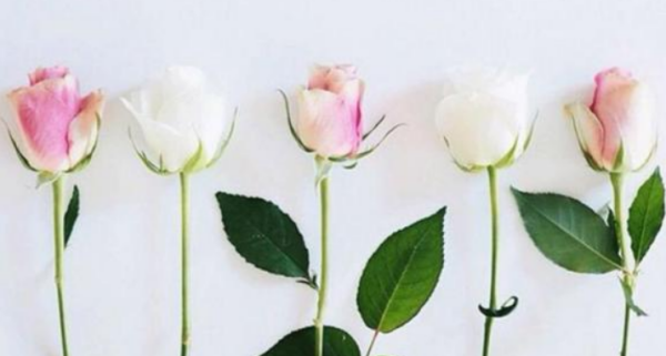 余秀华最好的十首诗,余秀华经典诗句去后山大干一场图2