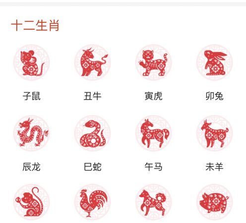 十二生肖中排在第1位的动物是谁那么排在第2位的是什么