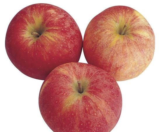 苹果属于哪类水果：苹果属于哪种水果