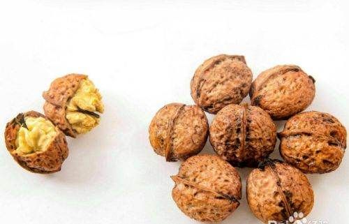 核桃脱皮机多少钱一台,家用小型核桃剥皮机图7