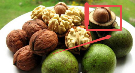 核桃脱皮机多少钱一台,家用小型核桃剥皮机图3