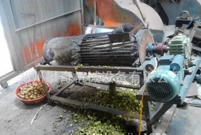 ​核桃脱皮机多少钱一台,家用小型核桃剥皮机