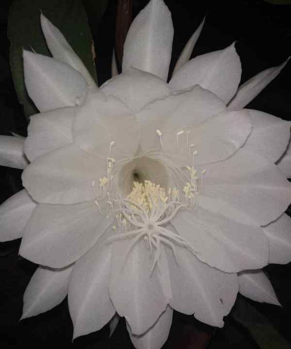 常见词牌名,古诗文中常见的词牌名都有哪些图6