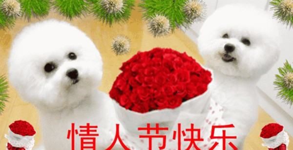 关于情人节的唯美句子,情人节表白最浪漫的诗句图2