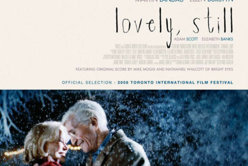 七朵黄色的花加满天星代表什么意思