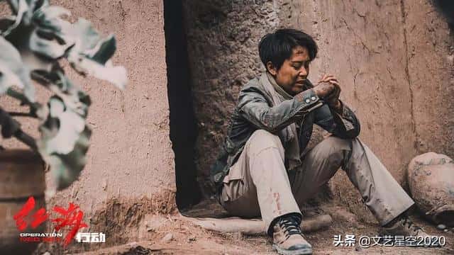 海清演过什么电视剧-（海清演员简介个人资料）