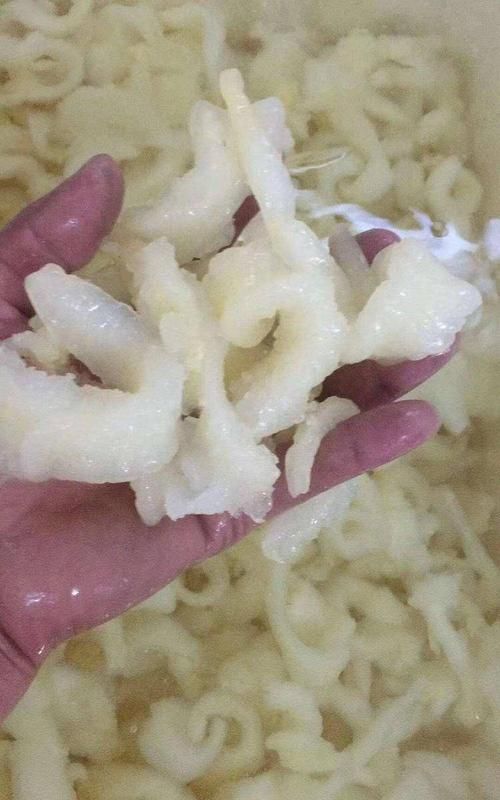 哪里产地的花胶最好