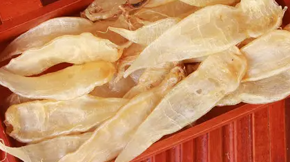 花胶产地,中国鱼胶十大排名关图3