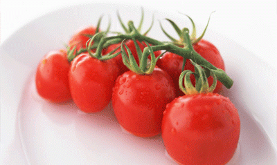 圣女果是转基因的吗，紫玉圣女果是转基因吗？图3