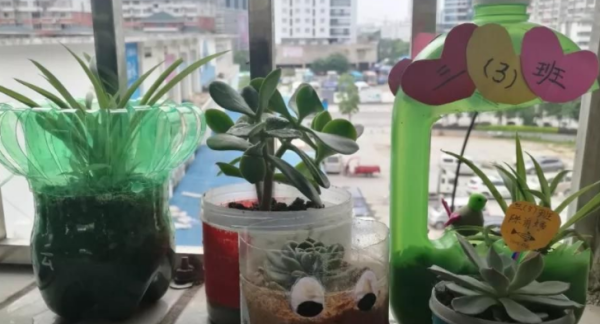 酸奶瓶做手工作品怎么做,塑料瓶变废为宝的手工小创意简单又漂亮图1