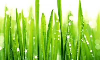 ​绿的颜色有哪些，绿的所有颜色有哪些？