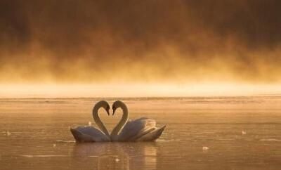 死生契阔,与子成说执子之手,与子偕老是什么意思