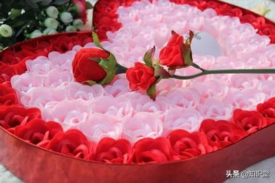 ​520的祝福语句简单送朋友  520的祝福语句简单朋友