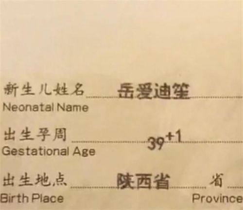 小孩取名测试打分软件,小孩取名测试吉凶-第1张图片-