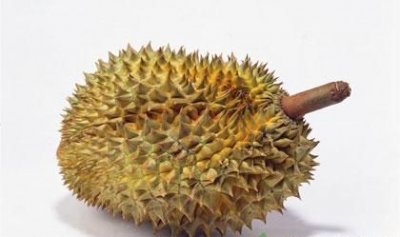 ​有苦味的榴莲还能吃,买的榴莲不熟怎么办已经剥开了