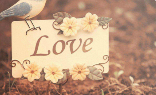 智者不入爱河下一句,智者不入爱河下一句是什么你知道吗图2