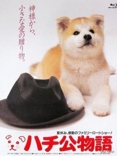 德国牧羊犬电影有哪些(德国牧羊犬电影有那些(7个))-第1张图片-