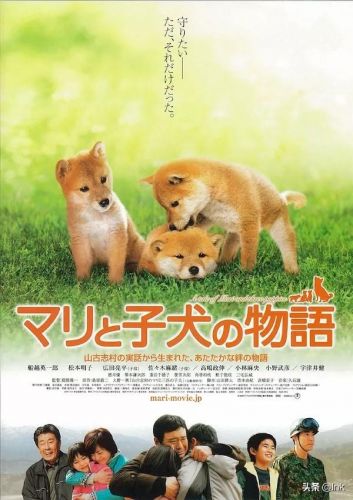 德国牧羊犬电影有哪些(德国牧羊犬电影有那些(7个))-第2张图片-