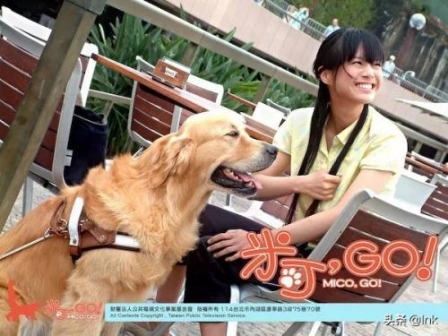 德国牧羊犬电影有哪些(德国牧羊犬电影有那些(7个))-第12张图片-