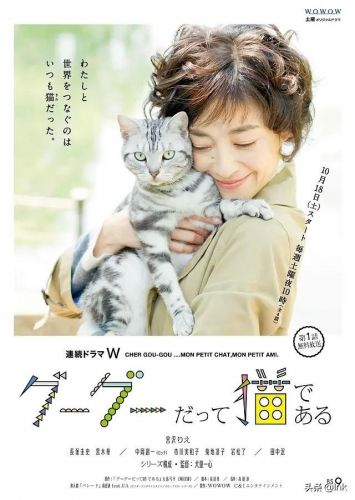 德国牧羊犬电影有哪些(德国牧羊犬电影有那些(7个))-第11张图片-