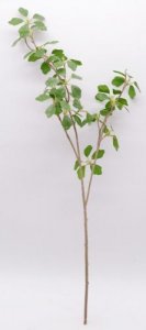 ​滴水观音佛像寓意什么意思(滴水观音佛像放在哪里好)