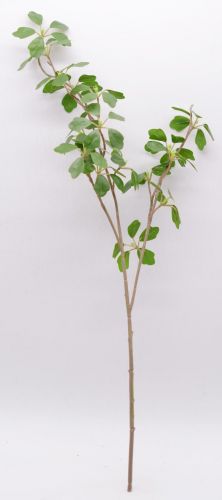 滴水观音佛像寓意什么意思(滴水观音佛像放在哪里好)-第1张图片-