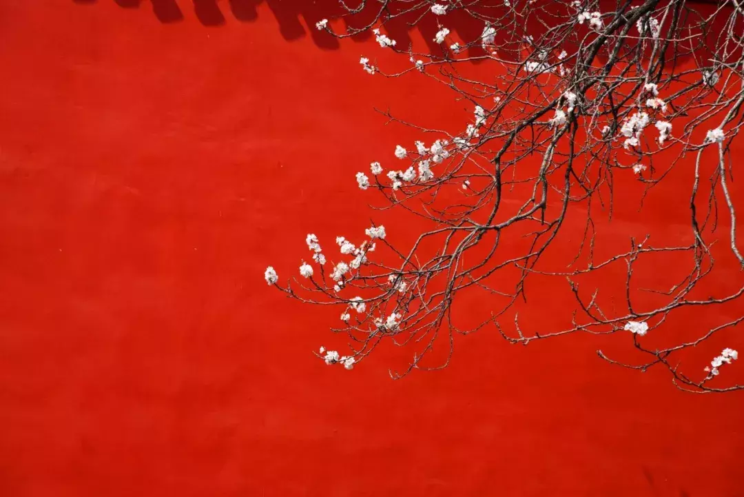 传统节日有哪些?农历几月几日?(传统节日有哪些中国的传统节日)-第2张图片-